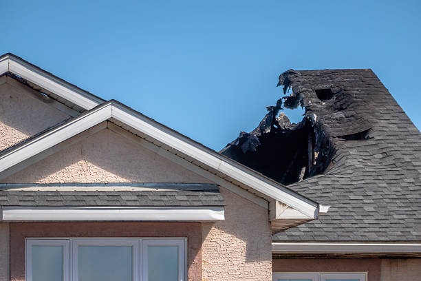 Top rated local Fire Damage Removal specialists in Wenonah, NJ